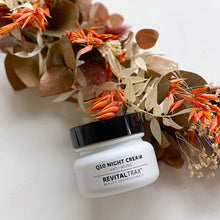 Carica l'immagine nel visualizzatore di Gallery, Crema Notte Anti età al Q10